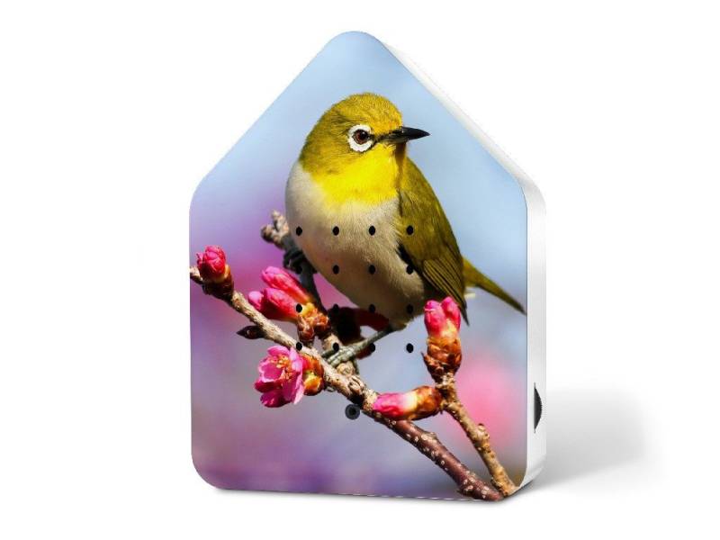 Relaxound GmbH Dekoobjekt Zwitscherbox Relaxound GmbH Dekoobjekt Zwitscherbox von Relaxound GmbH