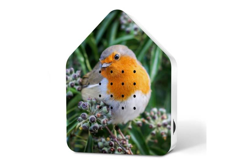 Relaxound GmbH Wanddekoobjekt Zwitscherbox Happy Birds Robin Redbreast Relaxound GmbH Wanddekoobjekt Zwitscherbox Happy Birds Robin Redbreast von Relaxound GmbH