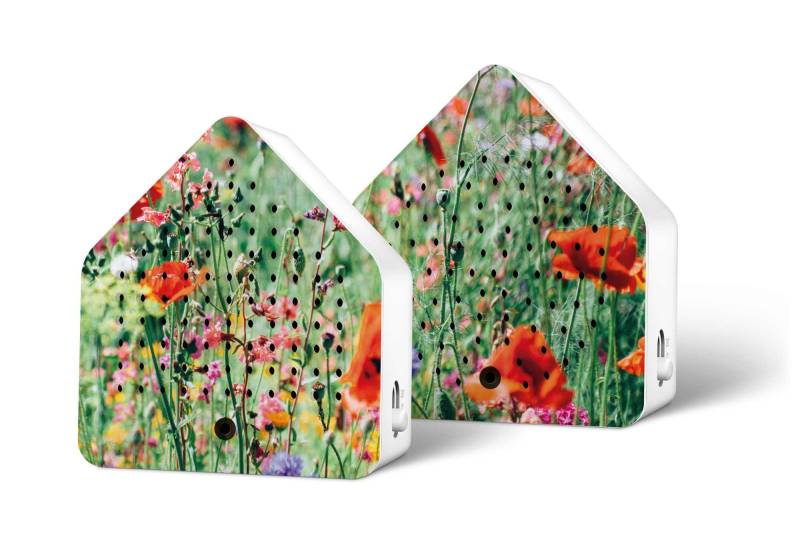 Relaxound Zirpybox Limited Edition Spring 24 Wild Flowers von Relaxound GmbH