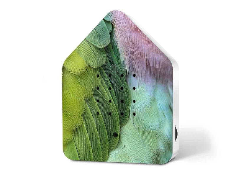 Relaxound Zwitscherbox  Special Edition Spring24 Green Feathers von Relaxound GmbH