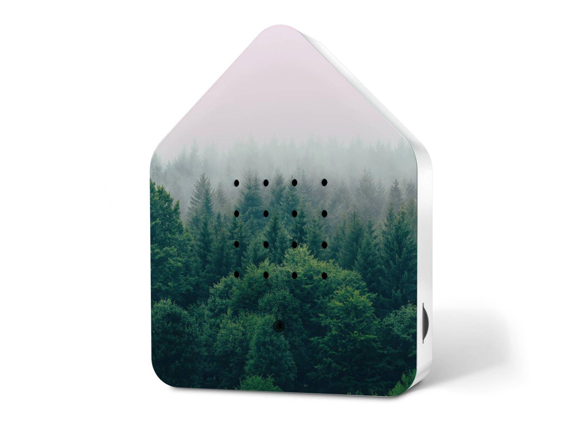 Relaxound Zwitscherbox  Special Edition Spring24 Morning Forrest von Relaxound GmbH