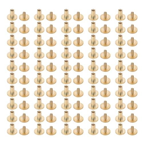 50PCS Leather Fasteners Kit | Solid Brass Binding Rivets for Belts/Collars/DIY Crafts | Long - lasting - Tolerant Screws for Leather Tools & Bookbinding (10x8mm) von Reliant Jazzy
