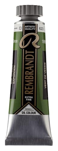 Rembrandt Ölfarbe - Extra-Fine Quality Oil Paint Tube 15 ml - Saftgrün 623 - Hohe Lichtechtheit und Pigmentkonzentration - Artist Grade - Made in Netherlands von Rembrandt