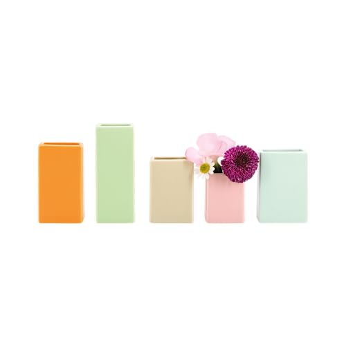 Remember Miniatur Blumenvasen 5er-Set - Erfrischen den Raum mit farbenfrohen Akzenten - Perfekte Porzellan Vasen für die Frühlings Deko von Remember