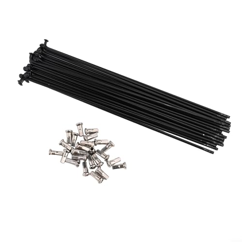 24 Stück E-Bike-Speichen und Nippel, Edelstahl, schwere Tragfähigkeit (12 g, Silber, 79 mm) von RemixAst