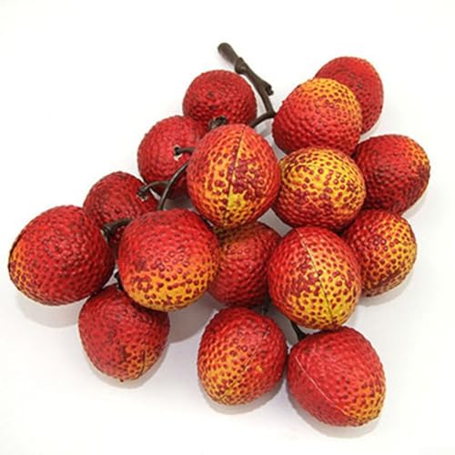 Schillerndes dekoratives Obst-Set mit lebensechten Designs beliebter Auswahlen wie Longan und andere (C) von RemixAst