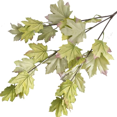 Remorui Künstlicher Ahornblattzweig, lebendige Farbe, künstliche Pflanze, künstliche Herbstblätter, Ahornblatt, Herbst-Ahornblatt-Stiel, grün Remorui Künstlicher Ahornblattzweig, lebendige Farbe, künstliche Pflanze, künstliche Herbstblätter, Ahornblatt, Herbst-Ahornblatt-Stiel, grün von Remorui