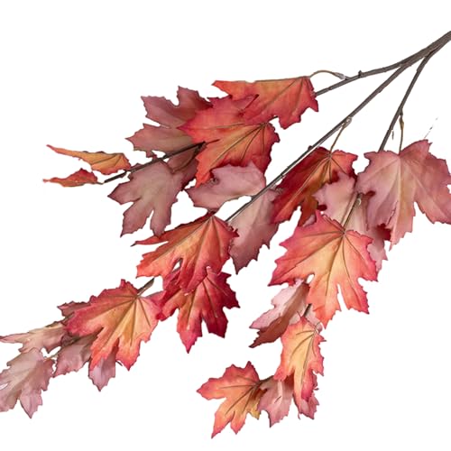 Remorui Künstlicher Ahornblattzweig, lebendige Farbe, künstliche Pflanze, künstliche Herbstblätter, Ahornblatt, Herbst-Ahornblatt-Stiel, rot Remorui Künstlicher Ahornblattzweig, lebendige Farbe, künstliche Pflanze, künstliche Herbstblätter, Ahornblatt, Herbst-Ahornblatt-Stiel, rot von Remorui