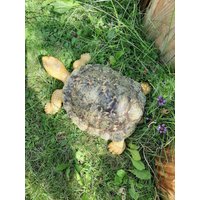 Auftragsarbeit Für Keramik Schildkröten Und Schnecken von RenatesKeramikShop