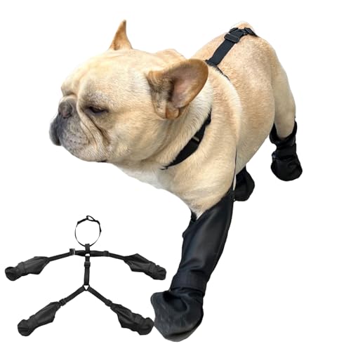 Hunde Hosenträger Stiefeletten - Hund Halter Hosen Mit Trägern - Wasserdicht Schmutzabweisend Pfotenschutz Für Winter Schnee Regen Outdoor Spaziergänge Wandern Training Reisen Hunde Hosenträger Stiefeletten - Hund Halter Hosen Mit Trägern - Wasserdicht Schmutzabweisend Pfotenschutz Für Winter Schnee Regen Outdoor Spaziergänge Wandern Training Reisen von Renchey