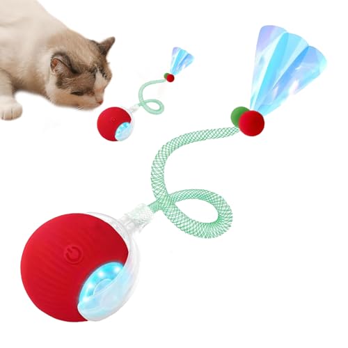 Renchey Bewegliches Hundespielzeug - Automatische Intelligente Katzenbälle mit elastischem Netzschwanz - Elektrische Haustierspiele Für Bewegung Spielkatzenspiel Mit Kratzfunktion Für Boden von Renchey