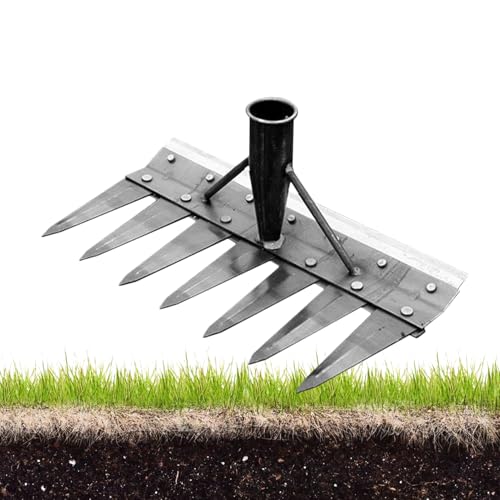 Renchey Garten Unkrautwerkzeug | Manueller Unkrautentferner Doppelseitig | Manuell Praktische Gartenharke Für Garten Rasen Hof von Renchey