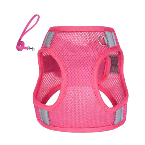 Renchey Hundegeschirr Für Hunde - Anti-Zieh Geschirr Mit Leinen Set - Haustierzubehör Mit Zugleine Für Einfache Kontrolle Bei Spaziergängen Und Outdoor Aktivitäten von Renchey