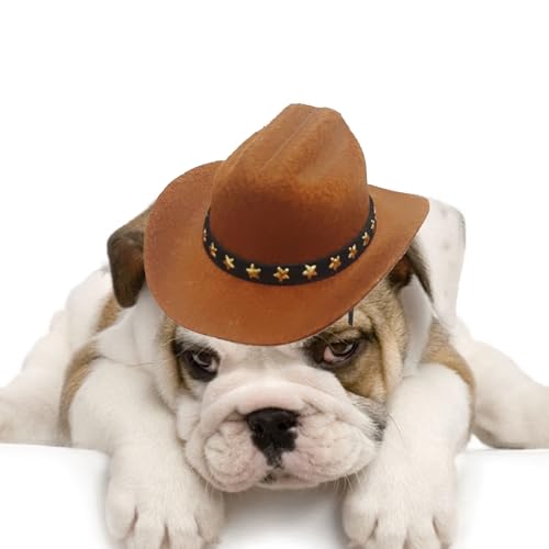 Renchey Westernhut Für Katze Und Hund | Western Kostümzubehör Für Haustiere | Hund Katze Partyzubehör Kostüm Mützen für Karneval Halloween Weihnachten Alltag Renchey Westernhut Für Katze Und Hund | Western Kostümzubehör Für Haustiere | Hund Katze Partyzubehör Kostüm Mützen für Karneval Halloween Weihnachten Alltag von Renchey