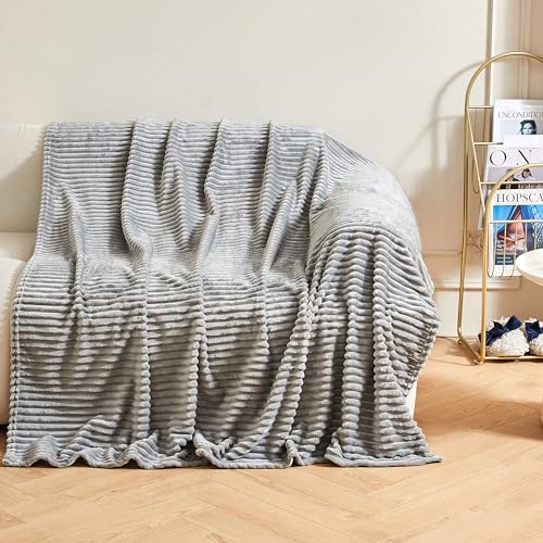 Rendiele Kuscheldecke Flauschige Fleecedecke Flanell Decke 290GSM, Warme Weiche Flausige Wohndecke für Sofa Couch Schlafzimmer Bett 150 x 200 cm, Grau von Rendiele