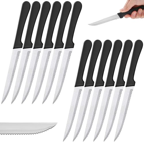 Renimove Steakmesser edelstahl 22 cm 12 cm Klinge korrosionsbeständig ergonomisch spülmaschinenfest (12 Stück) von Renimove