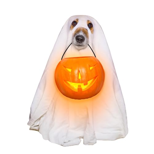 Renopfect Geisterkostüm für Hunde | Halloween Kostüm Für Hunde,gruseliges Welpen-Outfit für Trick-or-Treat-Thema Haustierzubehör Kleidung Spaziergang Foto-Requisiten Feierlichkeiten Kätzchen und Renopfect Geisterkostüm für Hunde | Halloween Kostüm Für Hunde,gruseliges Welpen-Outfit für Trick-or-Treat-Thema Haustierzubehör Kleidung Spaziergang Foto-Requisiten Feierlichkeiten Kätzchen und von Renopfect