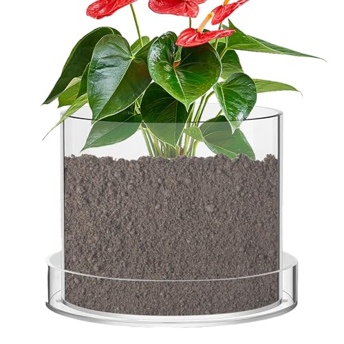Renopfect Klare Anzuchttöpfe,Transparente Pflanztöpfe - Durchsichtige Behälter Becher mit Untersetzer für Blumen Zimmerpflanzen Anzucht und Wachstum von Renopfect