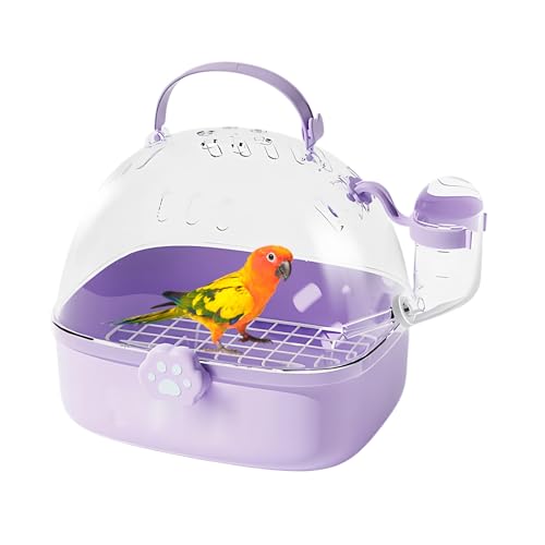 Renopfect Vogelreisekäfig | Tragbarer Hamsterkäfig mit Wasserflasche | Transportzubehör für Haustier Vögel | Geräumiges Design für Spatzen Aras Conures Chinchillas Wellensittiche Nymphensittiche Renopfect Vogelreisekäfig | Tragbarer Hamsterkäfig mit Wasserflasche | Transportzubehör für Haustier Vögel | Geräumiges Design für Spatzen Aras Conures Chinchillas Wellensittiche Nymphensittiche von Renopfect