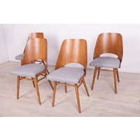 Model Lollipop Dining Chairs From Tatra, 1960S, Set Of 4 von RenovatorPoland