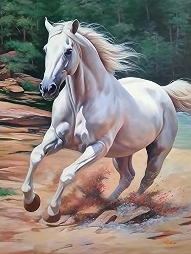 Reofrey DIY 5D Diamond Painting Cheval Full Set, Malerei Diamant Painting Bilder Animaux Broderie Peinture Diamant Painting Kit Complet Point De Croix Cristal Strass Artisanat Décoration 30x40 cm von Reofrey