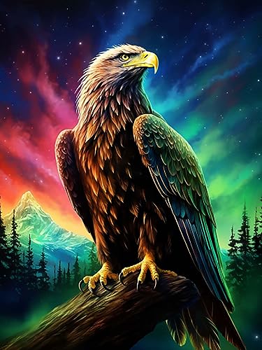 Reofrey DIY Diamond Painting Zubehör Adler Full Set, 5D DIY Malerei Diamant Painting Bilder Tier Kristallstickerei Kreuzstich Home Schlafzimmer Büro Wanddekoration 30x40cm von Reofrey