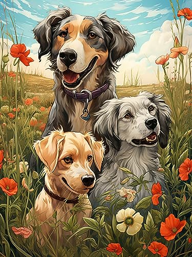 Reofrey DIY Diamond Painting Zubehör Hunde Full Set, 5D Malerei Diamant Painting Bilder Tiere Kristallstickerei Kreuzstich Home Schlafzimmer Büro Wanddekoration 30x40cm von Reofrey