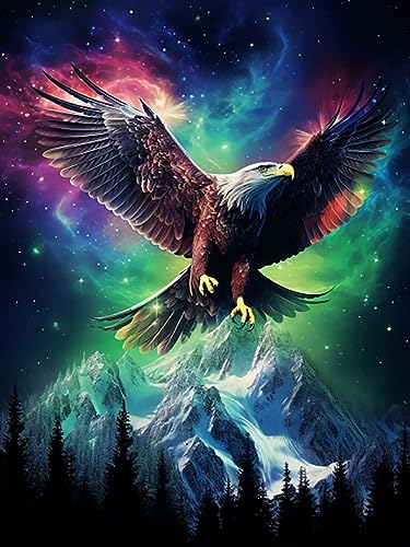 Reofrey Diamond Painting Zubehör Adler Full Set, 5D Malerei Diamant Painting Bilder Tier Kristallstickerei Kreuzstich Home Schlafzimmer Büro Wanddekoration 30x40cm von Reofrey