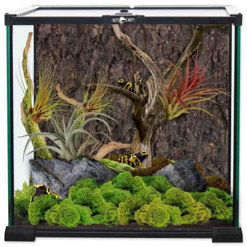 ReptiPlanet Glas Terrarium 30x30x30cm ReptiPlanet Glas Terrarium 30x30x30cm von ReptiPlanet