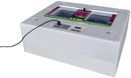 ReptiZoo Digital Inkubator Standard Größe: ca. 50x40 cm (Brutapparat) (IN001) (Siehe Videoanleitu von REPTI ZOO