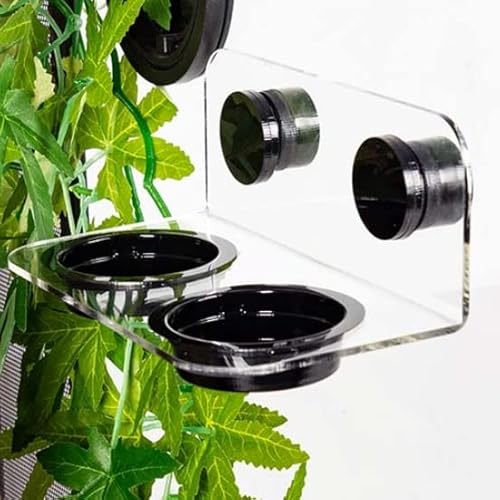 ReptiZoo Doppel-Futterstation magnetisch transparent 15 x 8 x 6,2 cm von REPTI ZOO