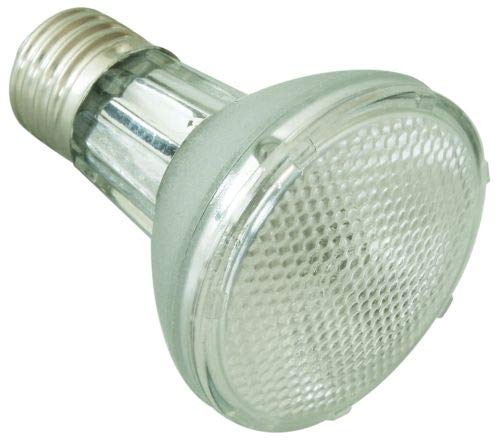 ReptiZoo Mini Halogen Spot (UVA Basking) Lampe 35 Watt (PAR2035) von REPTI ZOO