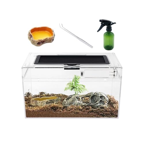 Mini Reptil Terrarium Set,12 "x 7" x 6" niedriges Reptilienbecken mit voller Sicht optisch ansprechend, für Insekt, Fisch, Tarantel, Einsiedlerkrebs, Springspinne, Leguan, Schildkröte, Leopard Gecko Mini Reptil Terrarium Set,12 "x 7" x 6" niedriges Reptilienbecken mit voller Sicht optisch ansprechend, für Insekt, Fisch, Tarantel, Einsiedlerkrebs, Springspinne, Leguan, Schildkröte, Leopard Gecko von Reptile Growth