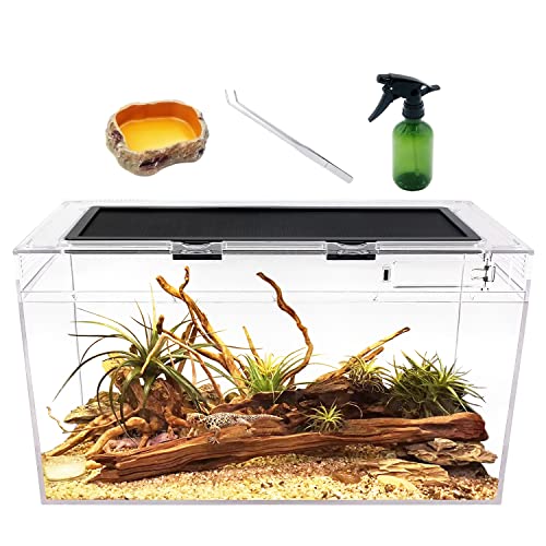Reptile Growth Terrarium Komplettset, 50 x 25 x 27cm Faunarium für,Schnecken,Insekten,Wasserschildkröten，Vogelspinnen,Springspinne,Leopard Gecko,Bärtiger Drache ，Frosch,Aquarium,Einsiedlerkrebs… von Reptile Growth