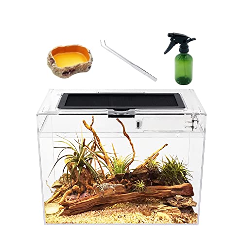 Reptile Growth Reptilien-Terrarium, 30,5 x 17,8 x 22,9 cm, Glas, sicher, explosionsgeschützt, UVB- und Infrarotdurchdringung, für Reptilien und Amphibien Reptile Growth Reptilien-Terrarium, 30,5 x 17,8 x 22,9 cm, Glas, sicher, explosionsgeschützt, UVB- und Infrarotdurchdringung, für Reptilien und Amphibien von Reptile Growth