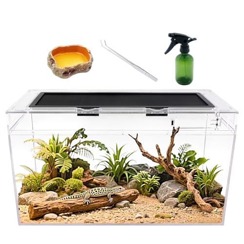 Reptile Growth Reptilien-Terrarium-Set, 35.4 l Reptilien-Tank 50.8x25.4x27.9 cm, mit Edelstahl-Pinzette, Sprühflaschen, Wasserfutterschale, Bartdrachen, Eidechse von Reptile Growth
