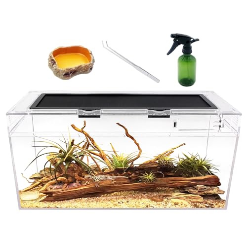 Reptile Growth Reptilien-PC-Terrarien-Set, Reptilienbecken 50 x 25x 20 cm, für Insekt, Fisch, Tarantel, Einsiedlerkrebs, Springspinne, Leguan, Schildkröte, Leopardgecko, Frosch, Bartagame Reptile Growth Reptilien-PC-Terrarien-Set, Reptilienbecken 50 x 25x 20 cm, für Insekt, Fisch, Tarantel, Einsiedlerkrebs, Springspinne, Leguan, Schildkröte, Leopardgecko, Frosch, Bartagame von Reptile Growth