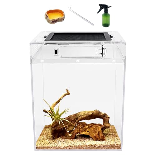 Reptile Growth hohes Terrarien-Set (PC), 20x 20x 28 cm Reptilienbecken mit oberem Schiebetürgitter Belüftung Reptilienterrarien für Schlange, Frosch, Insekt, Tarantel, Einsiedlerkrebs Reptile Growth hohes Terrarien-Set (PC), 20x 20x 28 cm Reptilienbecken mit oberem Schiebetürgitter Belüftung Reptilienterrarien für Schlange, Frosch, Insekt, Tarantel, Einsiedlerkrebs von Reptile Growth