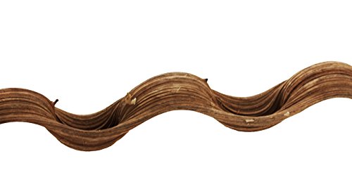 Reptiles Planet "Curly Vine Deko-AST für Reptilien, 100 - 120 cm Reptiles Planet "Curly Vine Deko-AST für Reptilien, 100 - 120 cm von Reptile Treasures