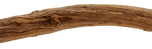 Reptiles Planet Liane Natürliche für Terrarium Reptilien Jungle Liana Länge 180 – 200 cm Durchmesser 3 – 4 cm Reptiles Planet Liane Natürliche für Terrarium Reptilien Jungle Liana Länge 180 – 200 cm Durchmesser 3 – 4 cm von Reptile Treasures