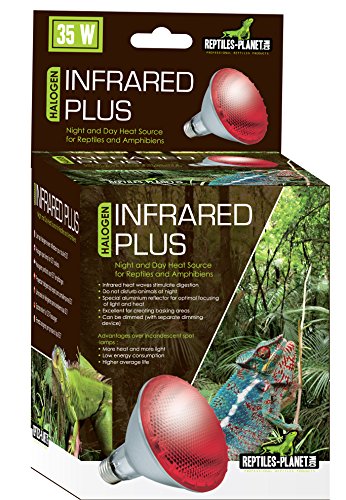 Infrared Plus Halogenlampe, 35W von Reptiles-Planet