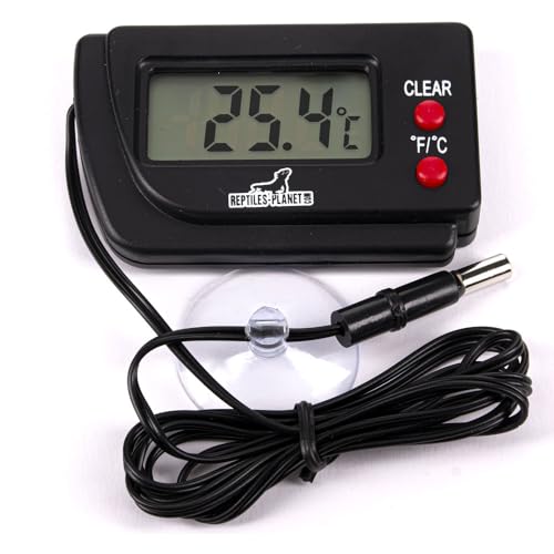 Reptiles Planet Digitalthermometer für Reptilienterrarium Reptiles Planet Digitalthermometer für Reptilienterrarium von Reptiles-Planet