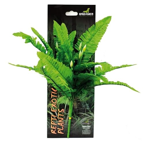 Reptiles-Planet Künstliche Pflanze für Terrarium Tropical, Nephnolepis Cordifoolia Presle von Reptiles-Planet