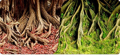 Reptiles-Planet Poster Amazonian Tree Roots 2 Seiten 1, Rolle von 15 m, Höhe 40cm von Reptiles-Planet