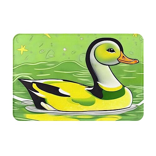 ResKiu Grüne Ente starke rutschfeste Fußmatte, Haustürmatte, Außeneingang, bedrucktes Muster, Fußmatte lustig von ResKiu