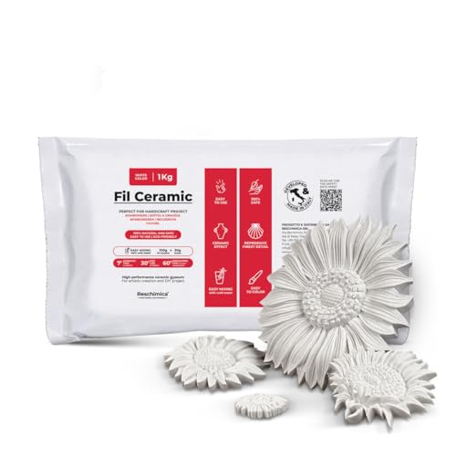 Ungiftiges Gipspulver zum Gießen, geruchloser Keramikgips, Modelliergips, Gießpulver weiß für Hobbygebrauch und kreative Projekte, Weiß, DIY (Weiß, 1 kg) von Reschimica