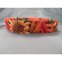 Herbst Hundehalsband Farben Des Herbstes von RescueMeCollars