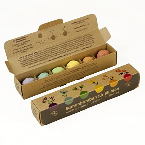 Resetea 6er-Pack Samenbomben, Violette Blumen, Blumen aus dem Atlantik, Mittelmeerblumen, Honigblüten, Orangenblüten und rote Blumen von Resetea