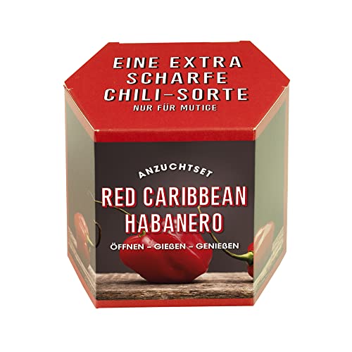 Resetea ANZUCHTSET RED CARIBBEAN HABANERO, Eine extra scharfe Chili-Sorte (nur für Mutige) von Resetea