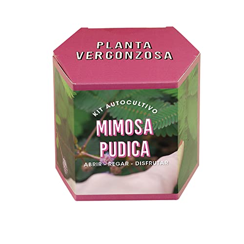 Resetea | Selbstzüchtliches Kit | Mimosa kann ca von Resetea